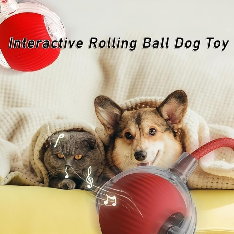 Viral Rolling Ball,Interactive Cat Ball Toy