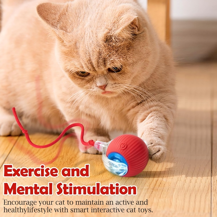 Viral Rolling Ball,Interactive Cat Ball Toy